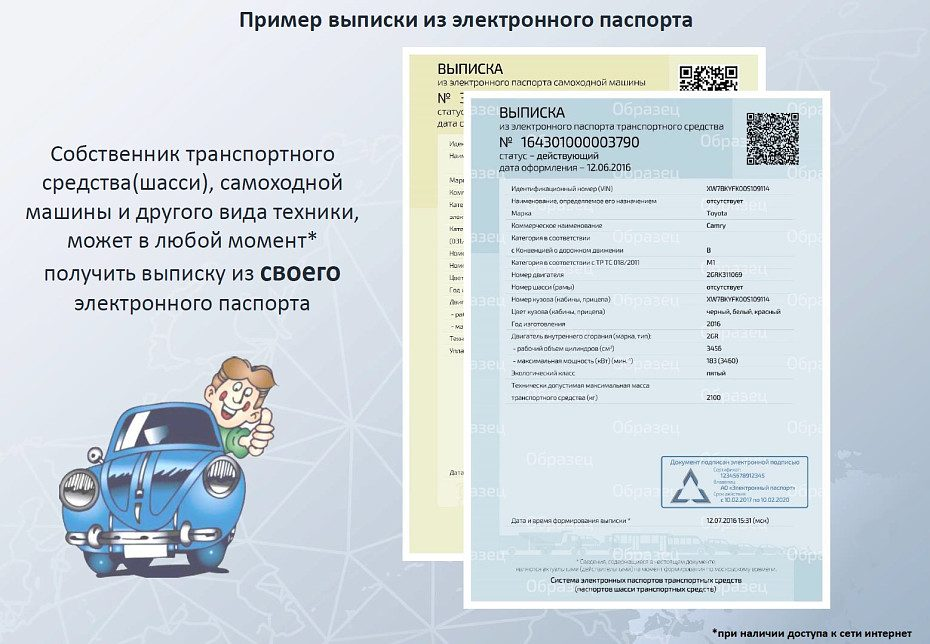 Пример выписки из электронного паспорта